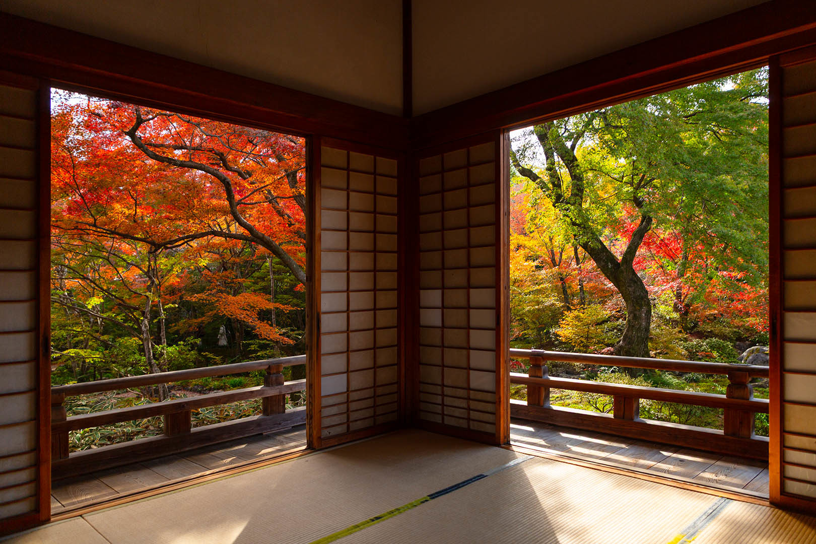 宝筐院の紅葉_a0003166_19545580.jpg