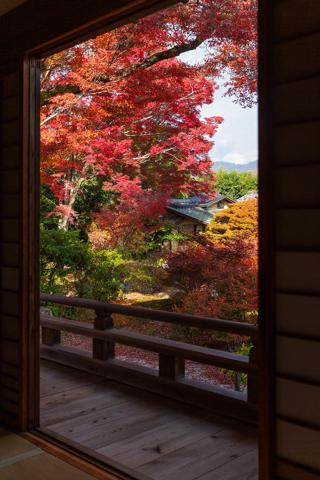 宝筐院の紅葉_a0003166_19550352.jpg