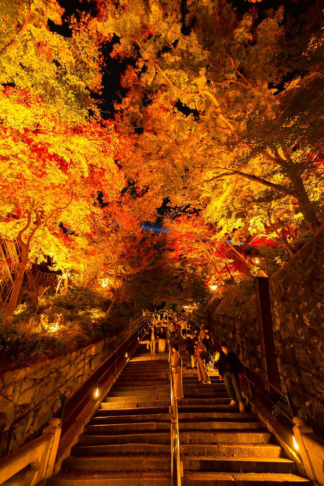清水寺など_a0003166_19552462.jpg