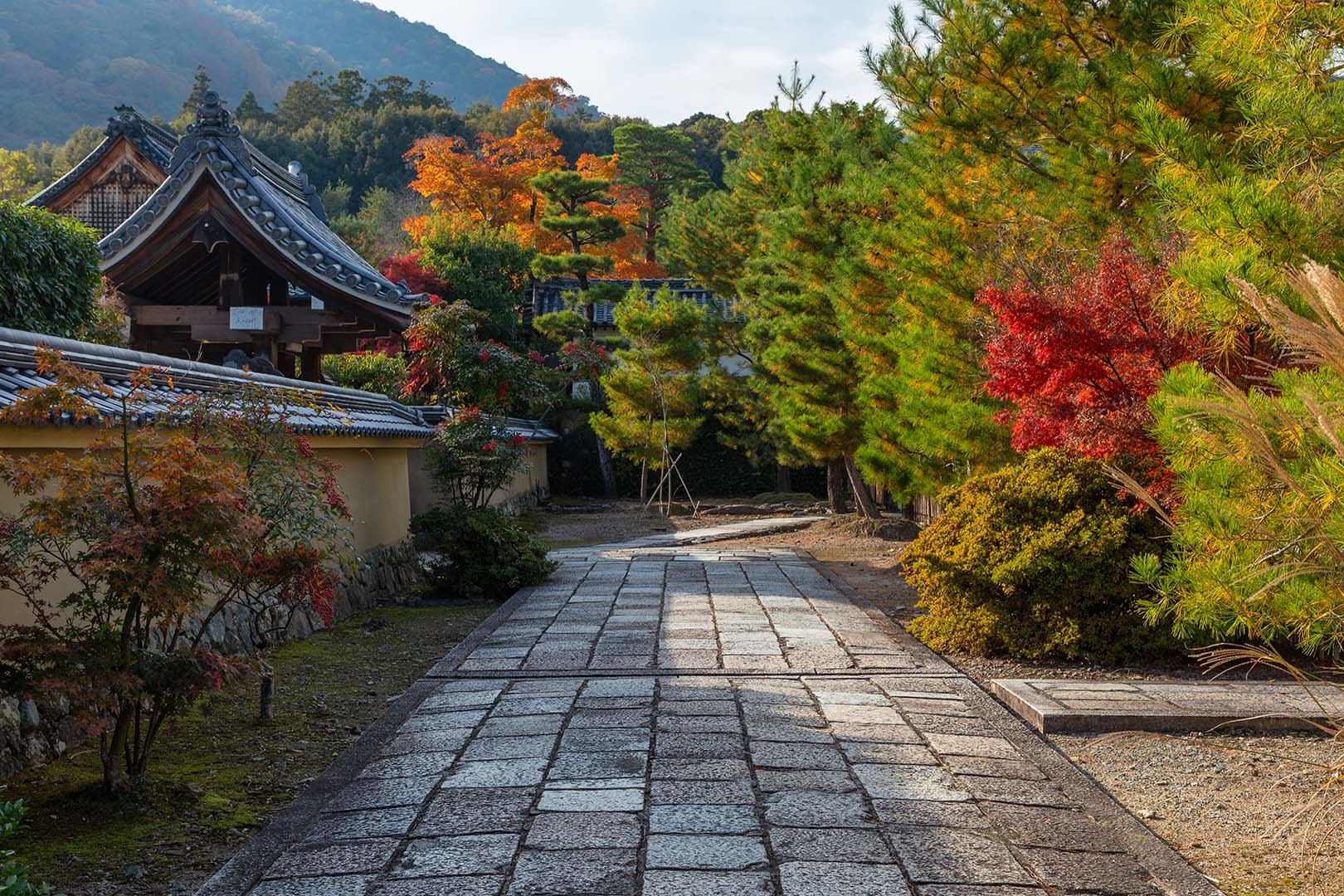 八幡宮 天龍寺の紅葉_a0003166_19593185.jpg