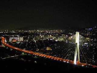 なし_a0003166_203041.jpg