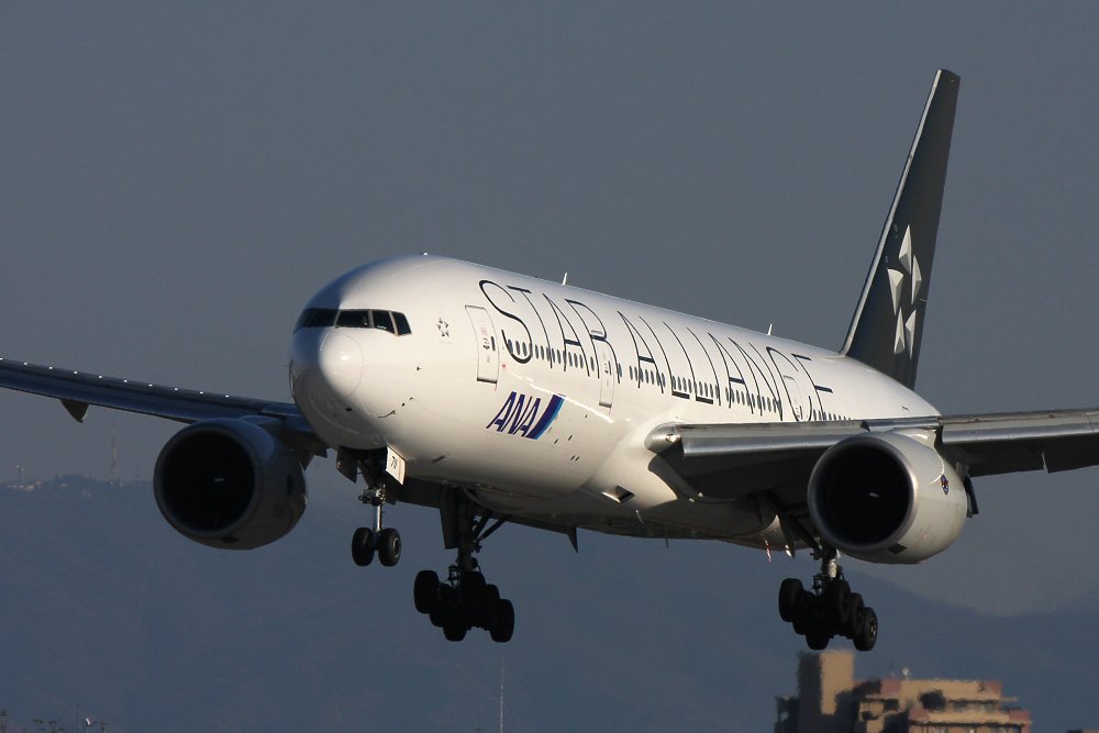 飛行機_a0003166_2043729.jpg
