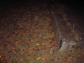 なし_a0003166_204598.jpg