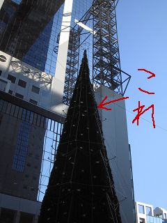 ツリー　やな野郎_a0003166_2058015.jpg