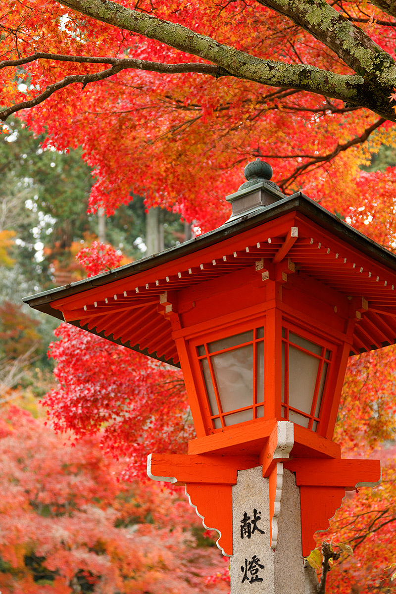 善峯寺_a0003166_21121833.jpg