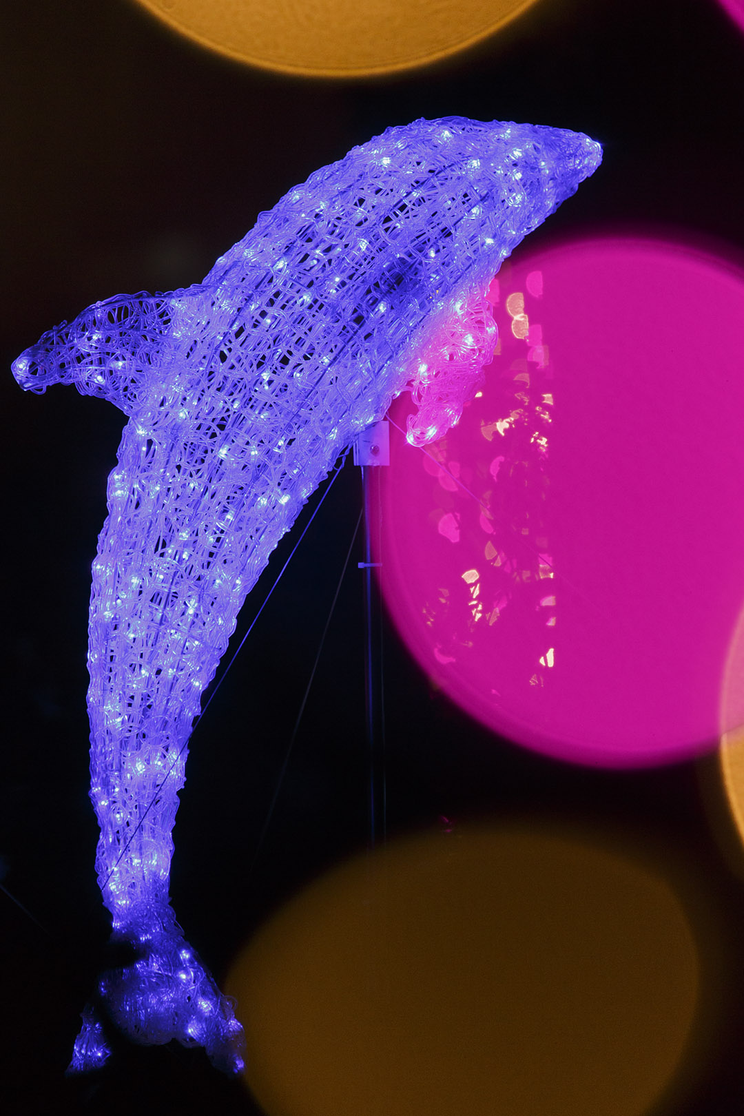 OSAKA光のルネサンス2015　(12/20,22)_a0003166_2113476.jpg