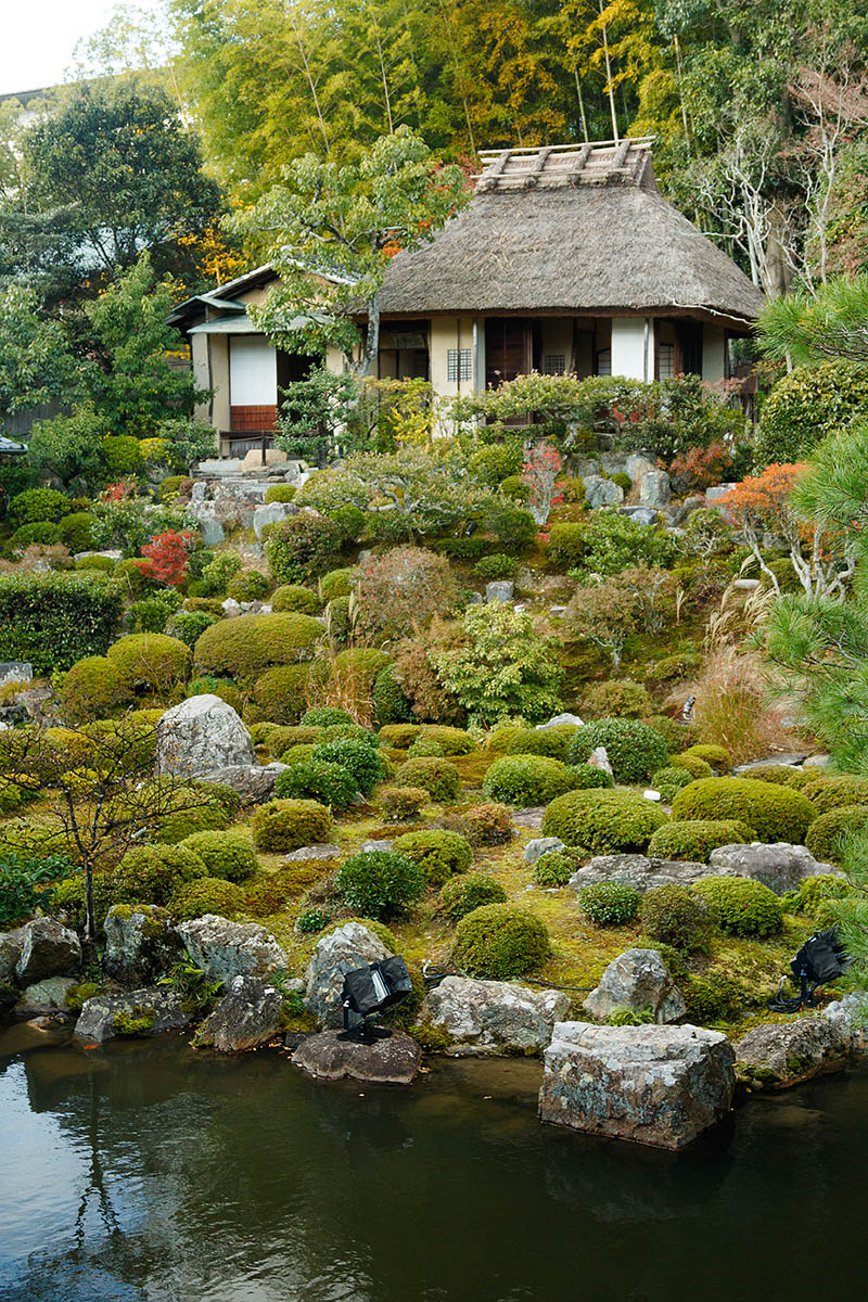 龍安寺、等持院_a0003166_211912.jpg