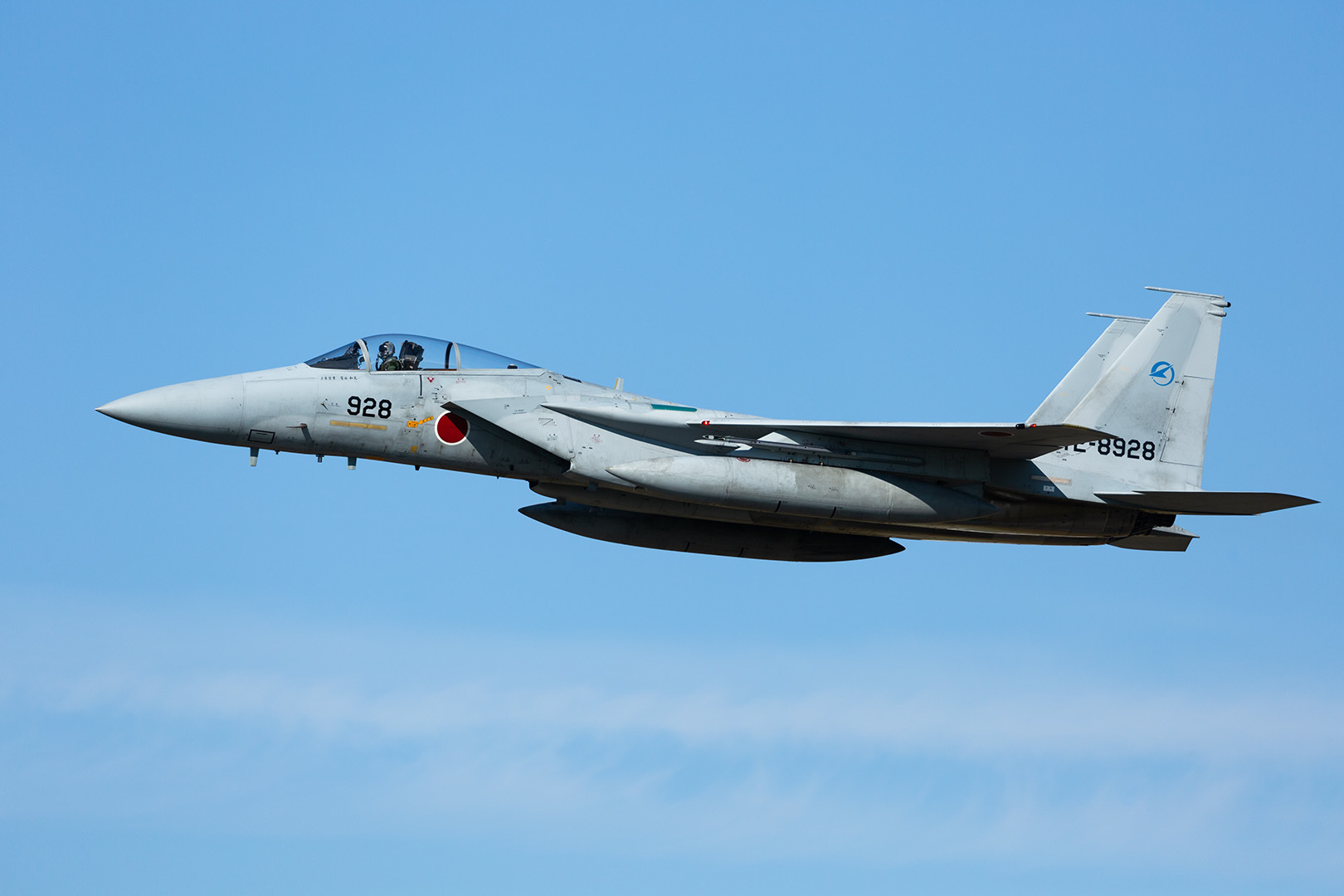 エアフェスタ浜松 F-15 その２_a0003166_21210022.jpg