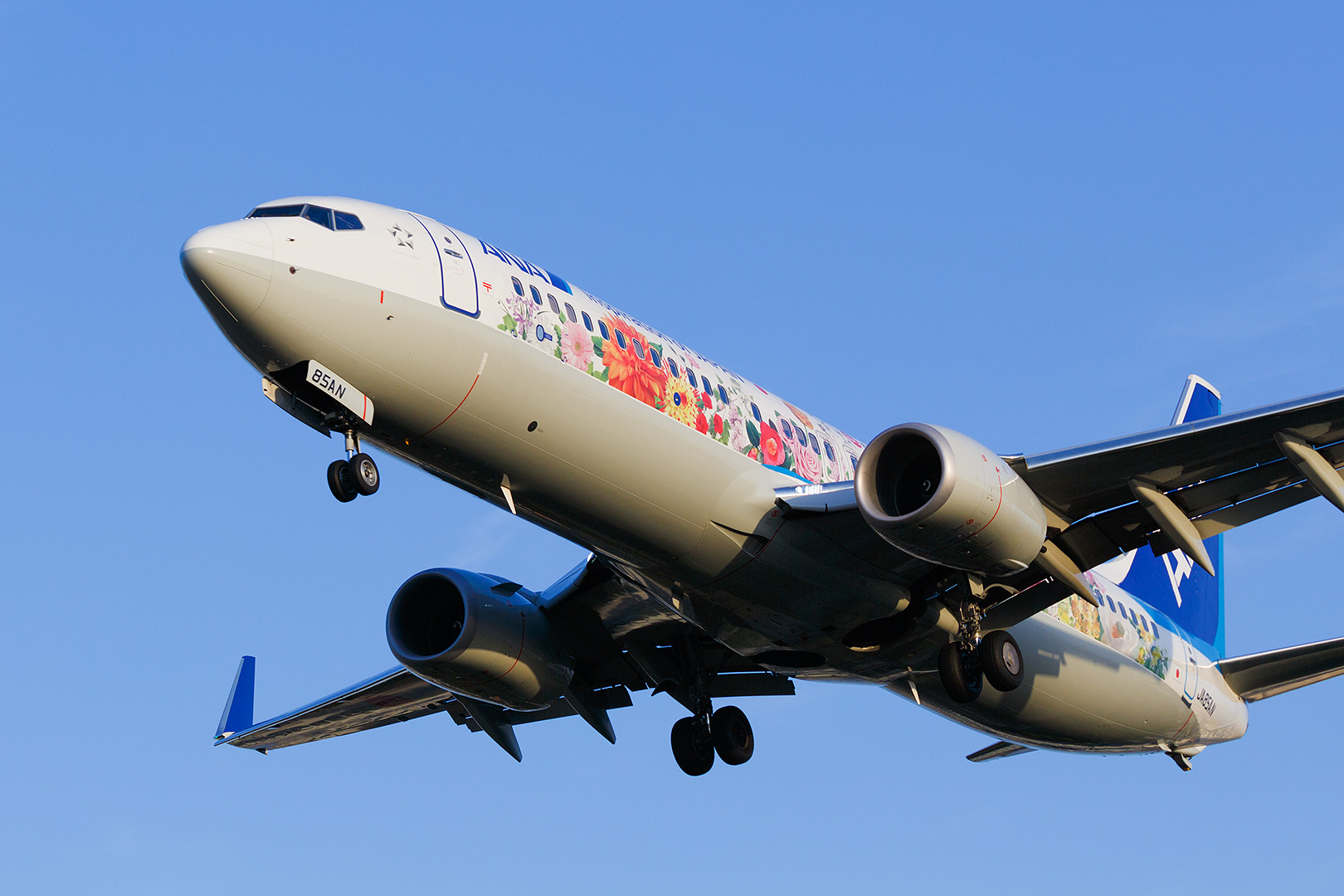 飛行機　（伊丹空港 千里川）_a0003166_21212051.jpg