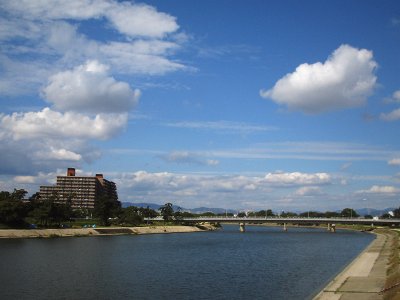 なし_a0003166_2122636.jpg