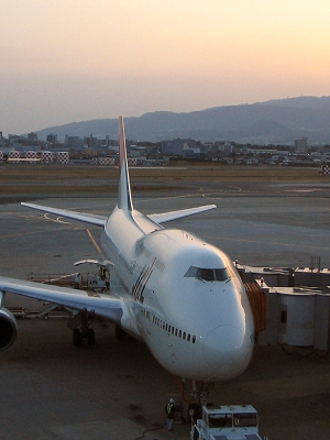 ジャンボ_a0003166_21252983.jpg