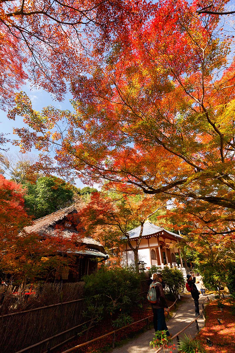 宝厳院_a0003166_2125579.jpg