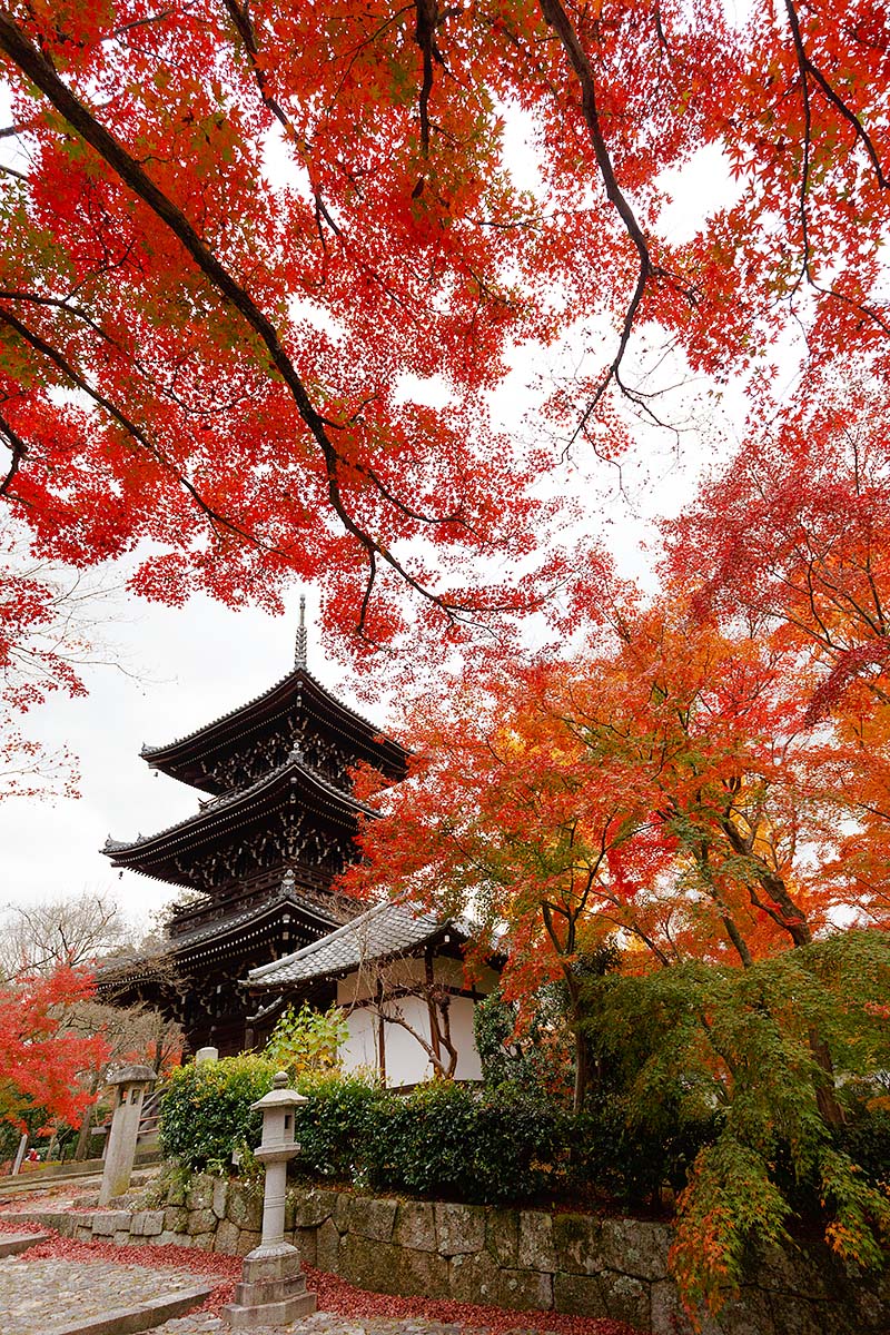 真正極楽寺_a0003166_21275180.jpg