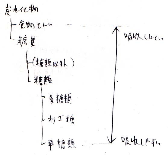 糖の吸収しやすさ　メモ_a0003166_21275314.jpg