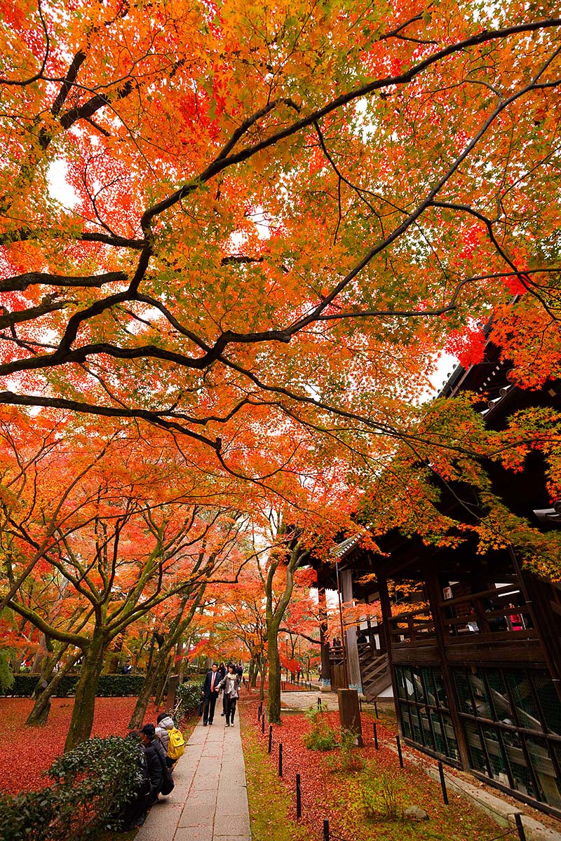 真正極楽寺_a0003166_21275526.jpg