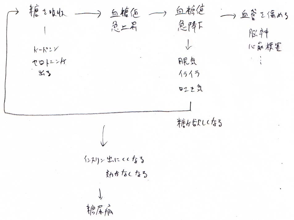 糖の吸収しやすさ　メモ_a0003166_21275662.jpg