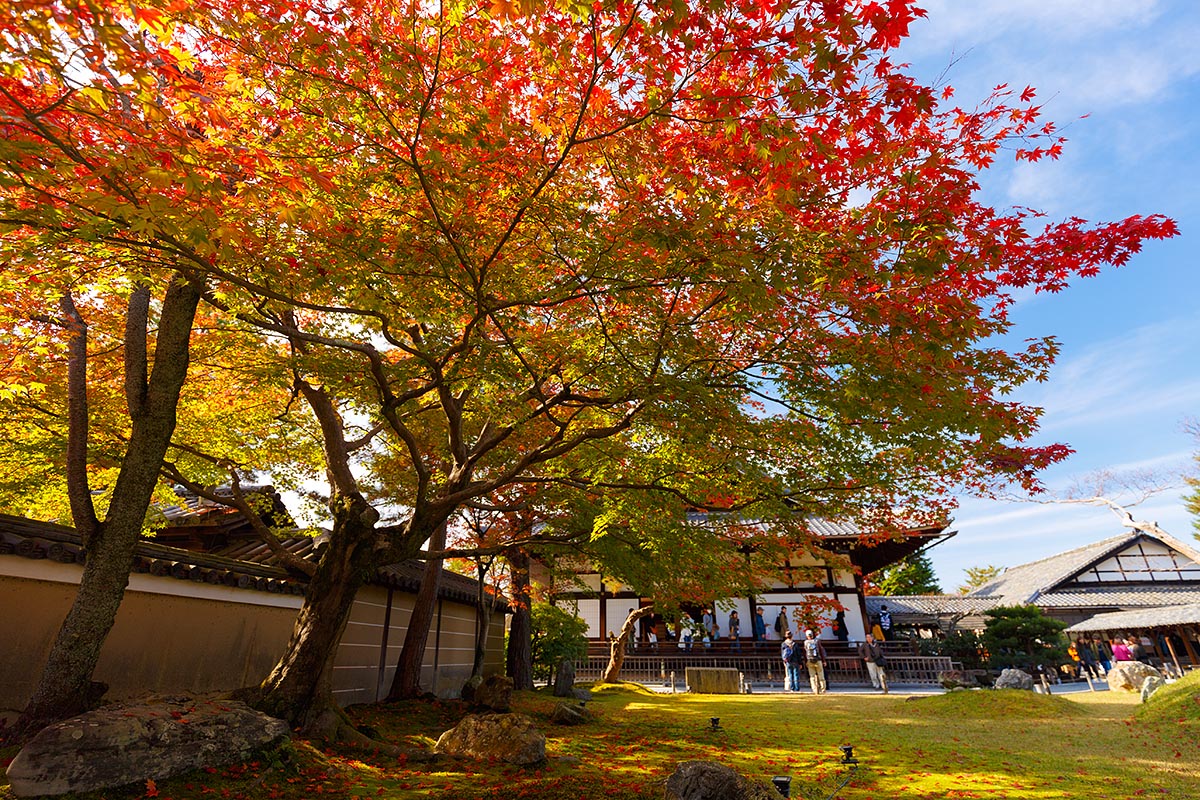 高台寺_a0003166_21333042.jpg
