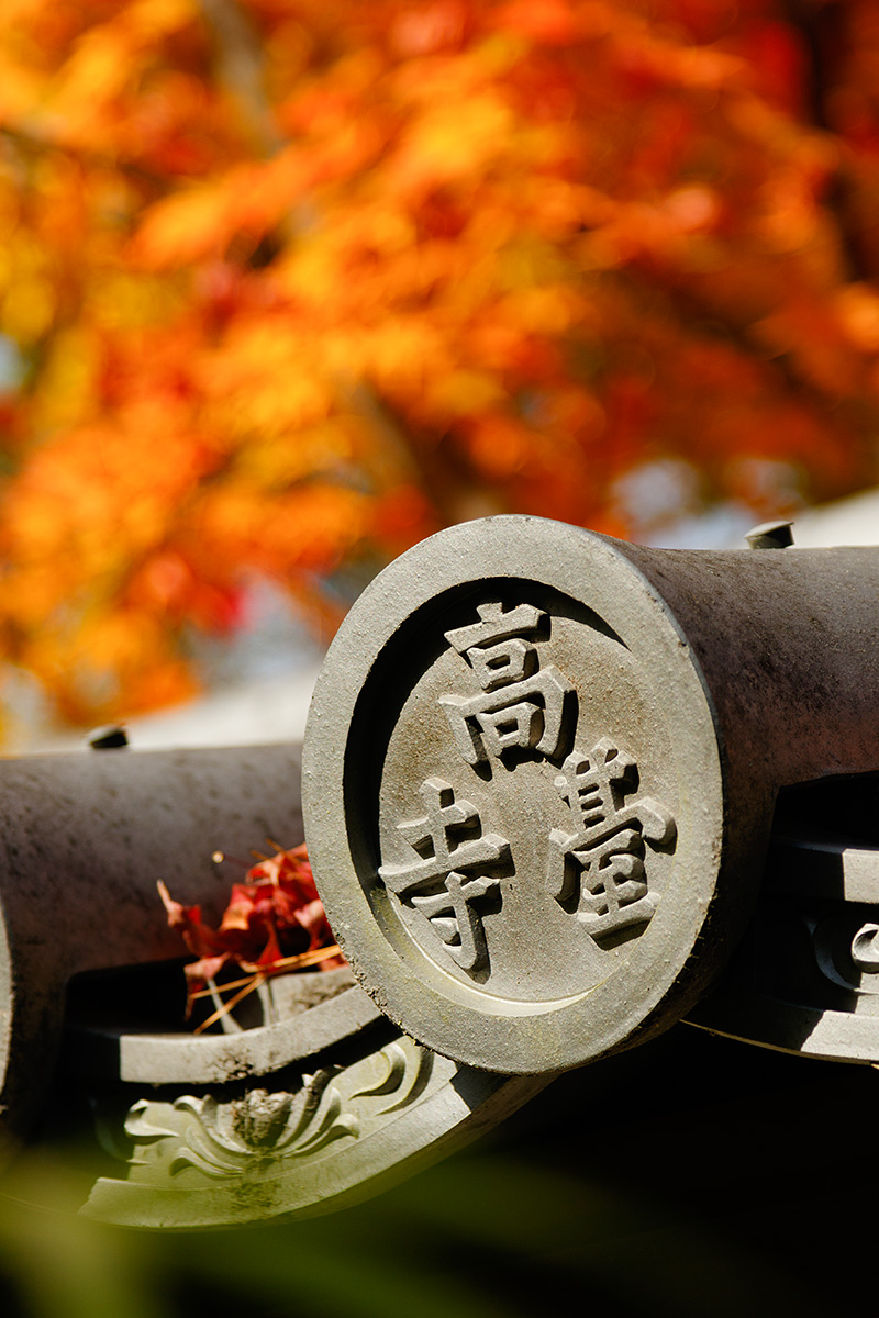 高台寺_a0003166_21335450.jpg
