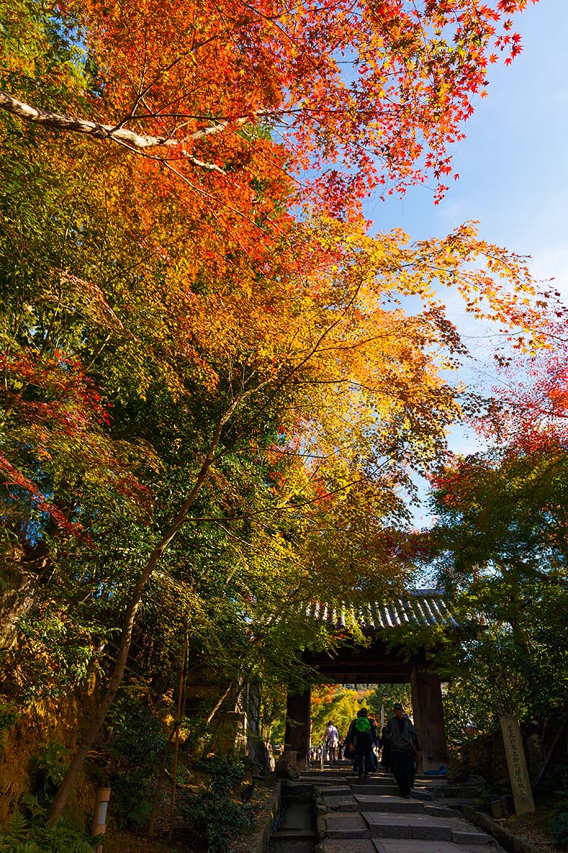 高台寺_a0003166_21335943.jpg