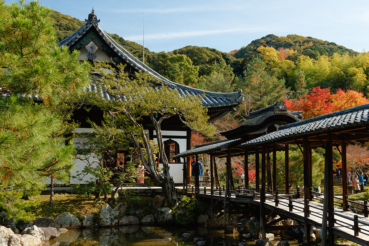 高台寺_a0003166_2134370.jpg