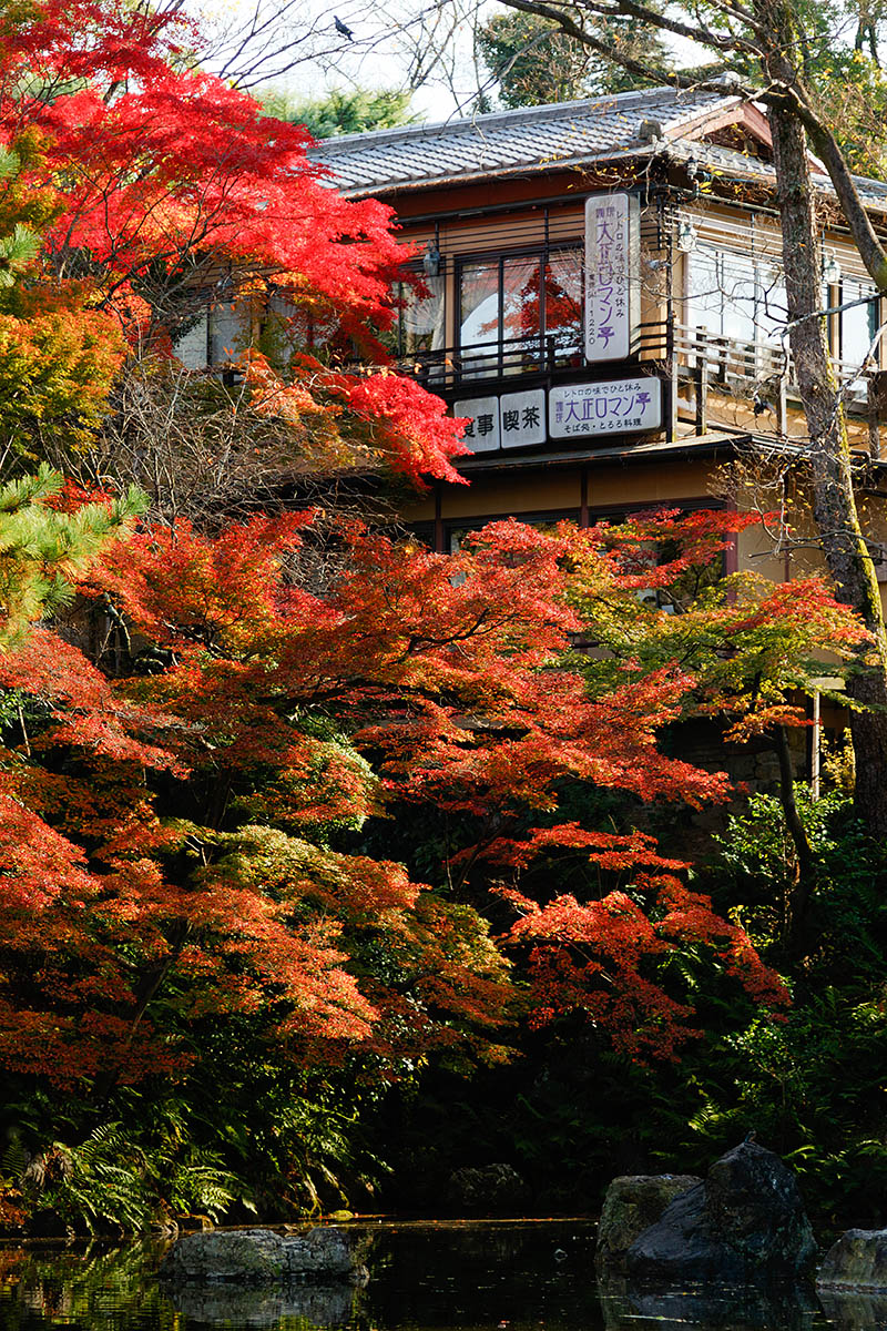円山公園_a0003166_21355537.jpg