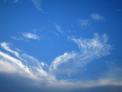 誤用_a0003166_21372827.jpg