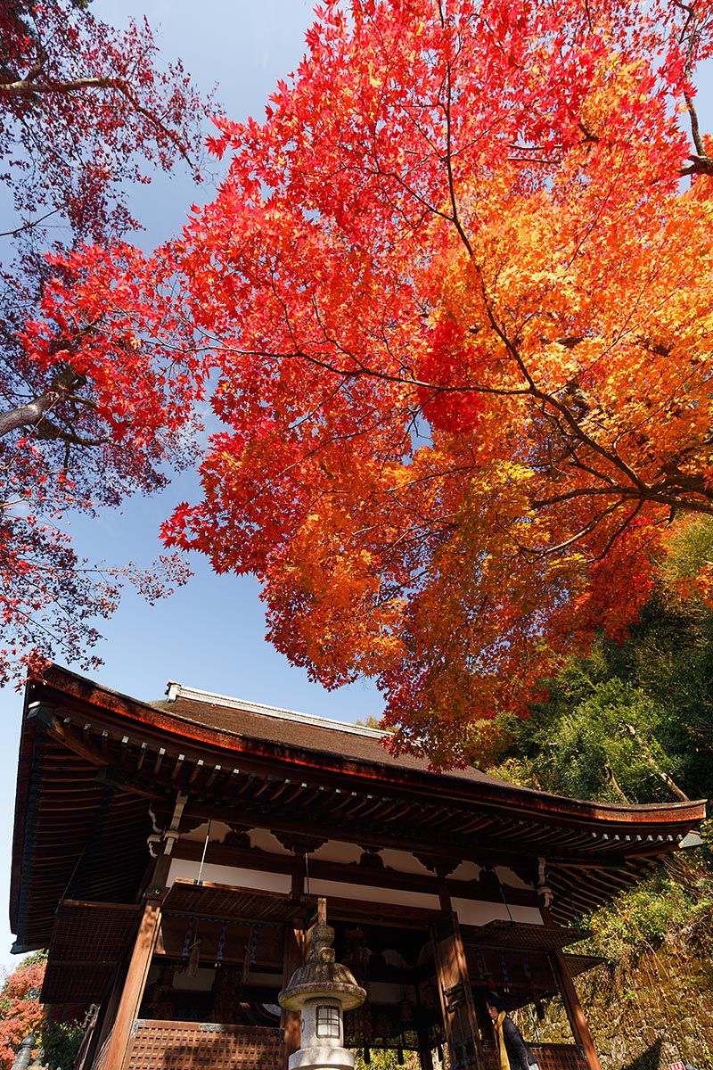 知恩院_a0003166_21383564.jpg