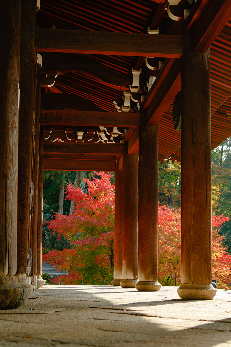 知恩院_a0003166_21384673.jpg