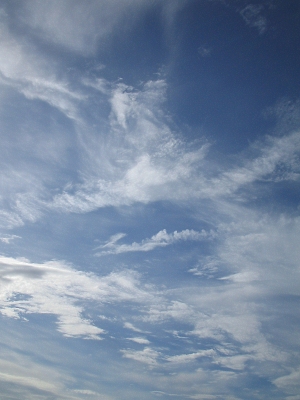 雲と飛行機_a0003166_21395425.jpg