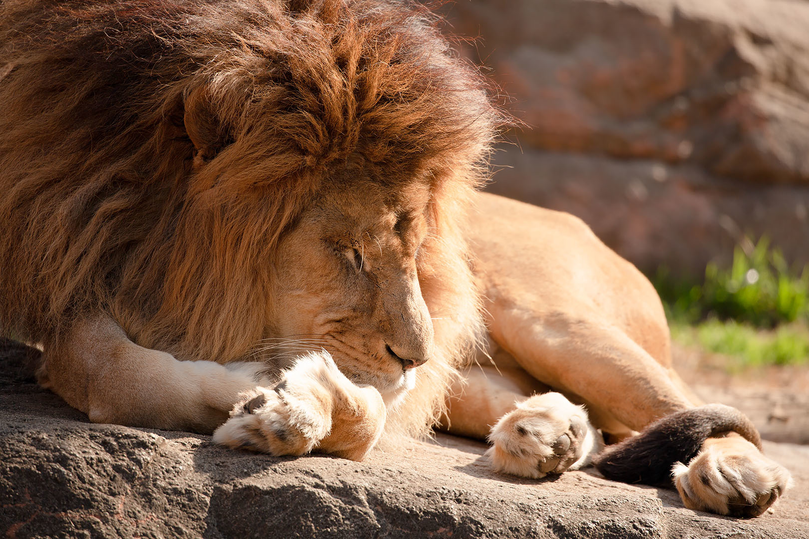 天王寺動物園 その２_a0003166_21400867.jpg