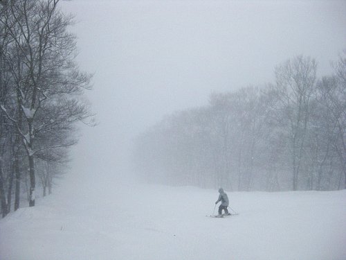 雪_a0003166_21401542.jpg