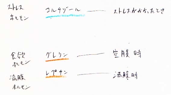 ホルモン、脳内物質　まとめ_a0003166_21420519.jpg