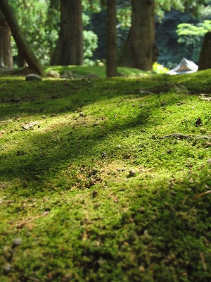 てら_a0003166_21421666.jpg