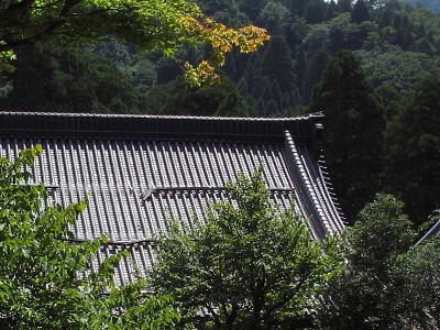 てら_a0003166_21422767.jpg