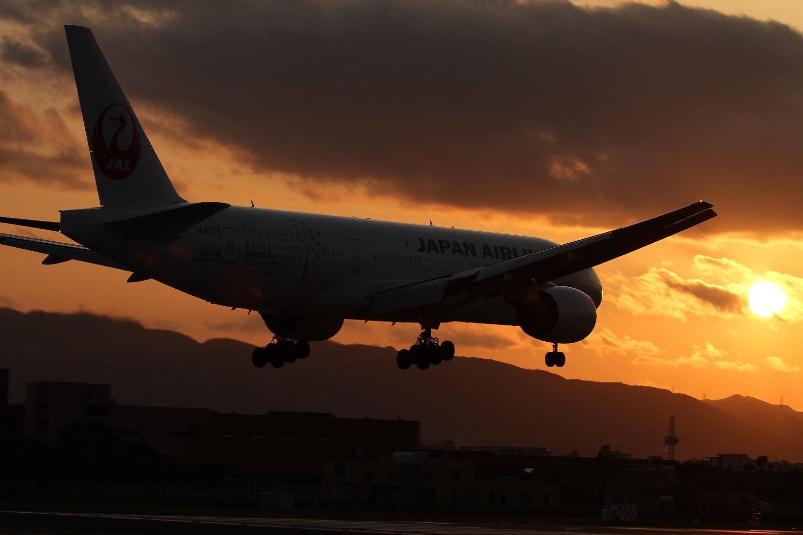 飛行機 夕焼け （千里川）_a0003166_21463936.jpg