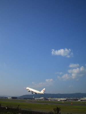 なし_a0003166_21474887.jpg