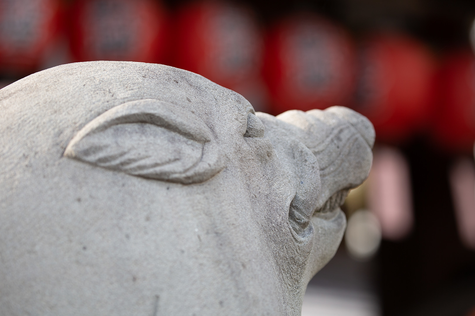 いのしし神社　護王神社_a0003166_21481915.jpg
