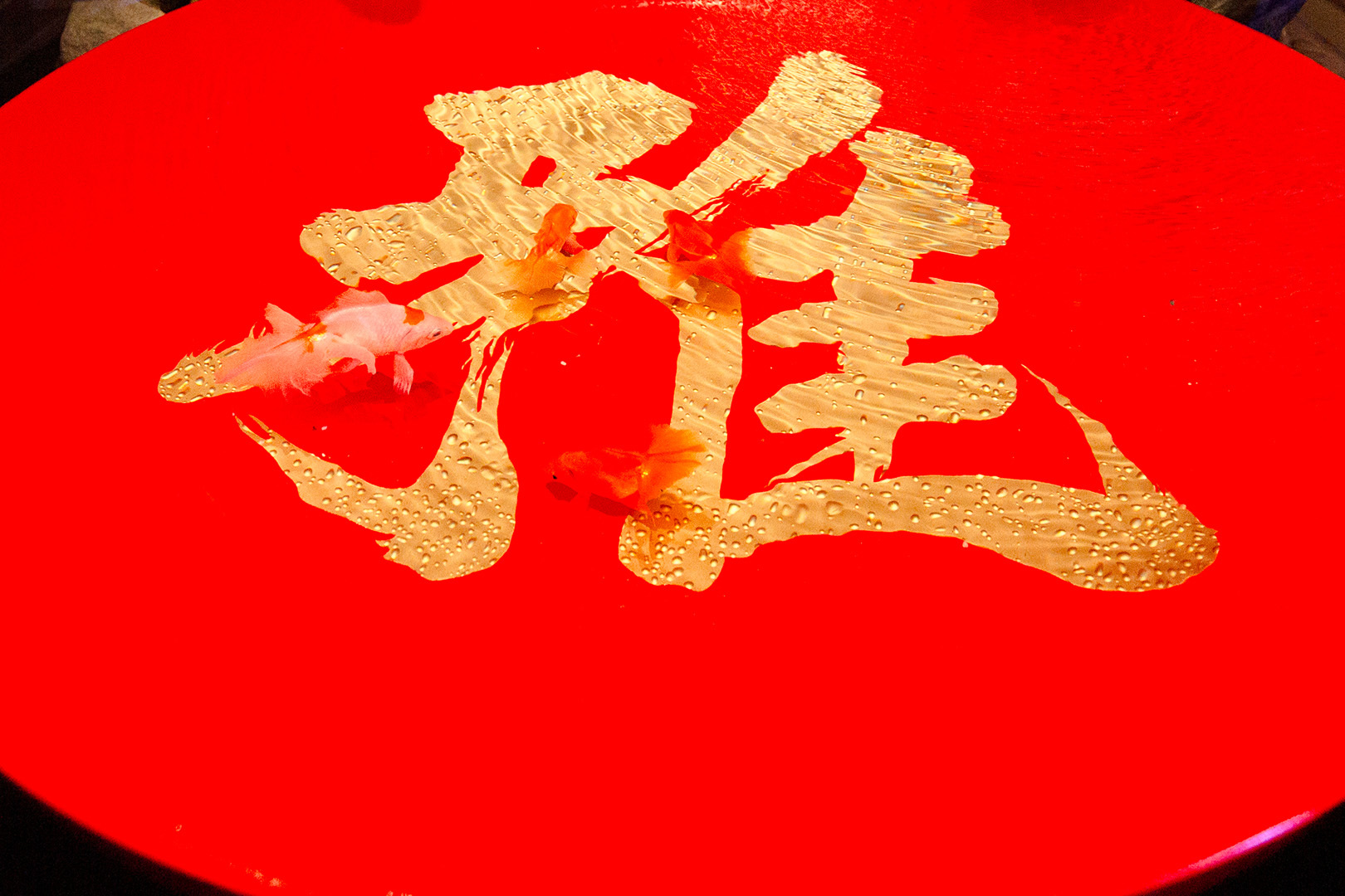 átoa その３_a0003166_21501310.jpg