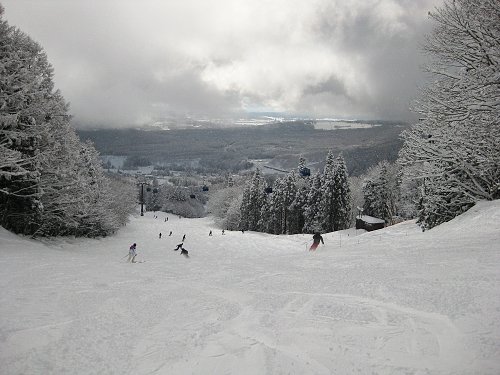 雪山　（妙高杉ノ原）_a0003166_21541060.jpg