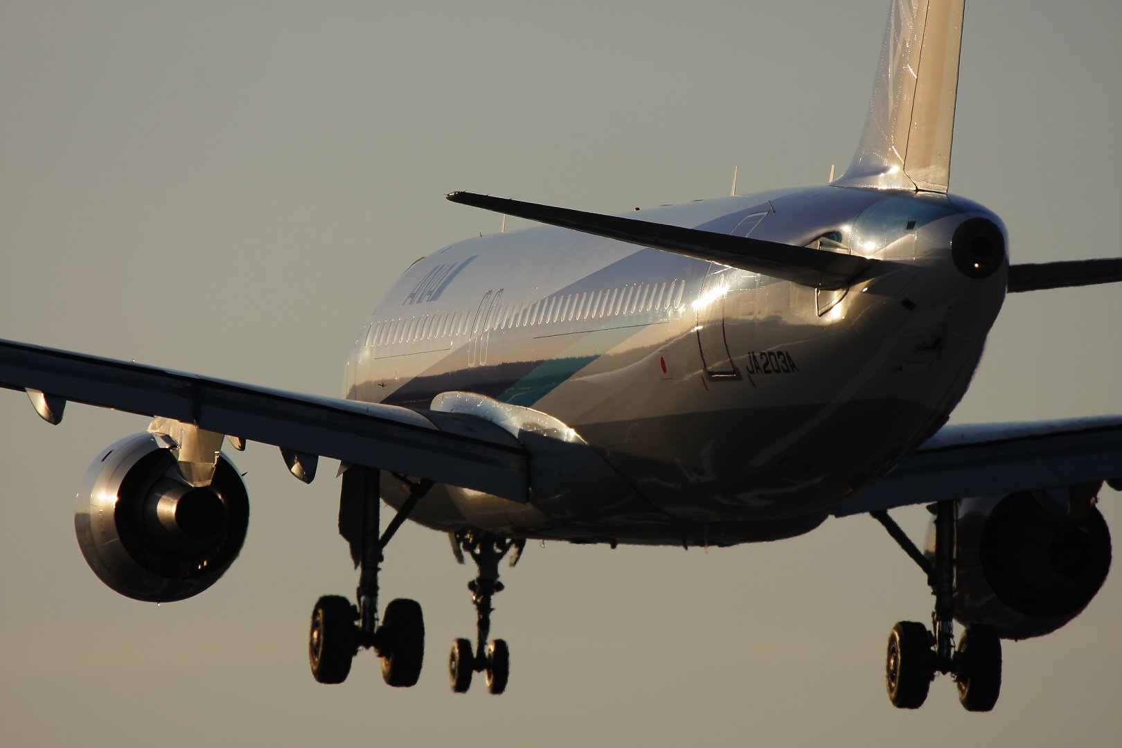 飛行機　（千里川）_a0003166_21583076.jpg