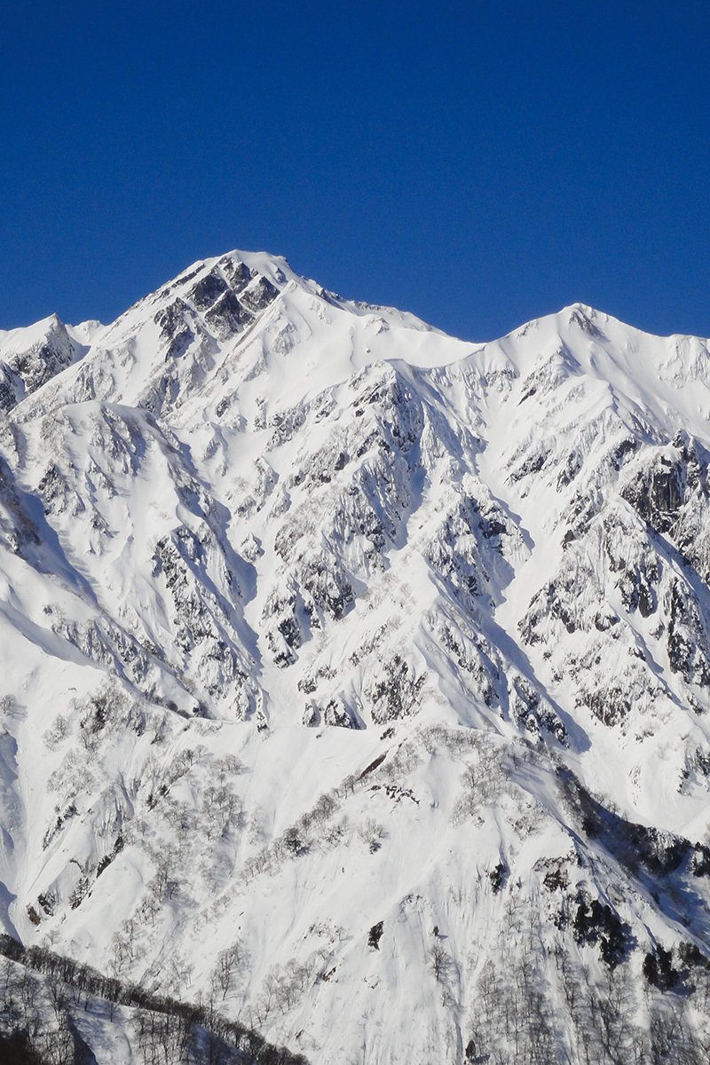 雪山（白馬五竜＆Hakuba47）_a0003166_22055902.jpg