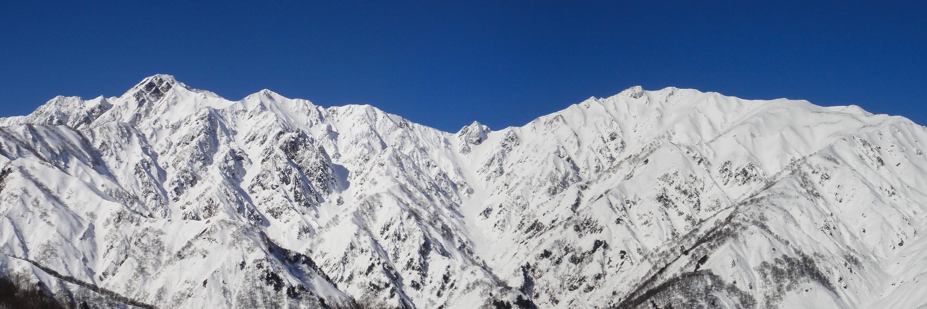 雪山（白馬五竜＆Hakuba47）_a0003166_22060089.jpg