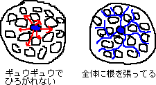 広がらないけど広がってる_a0003166_220612.gif