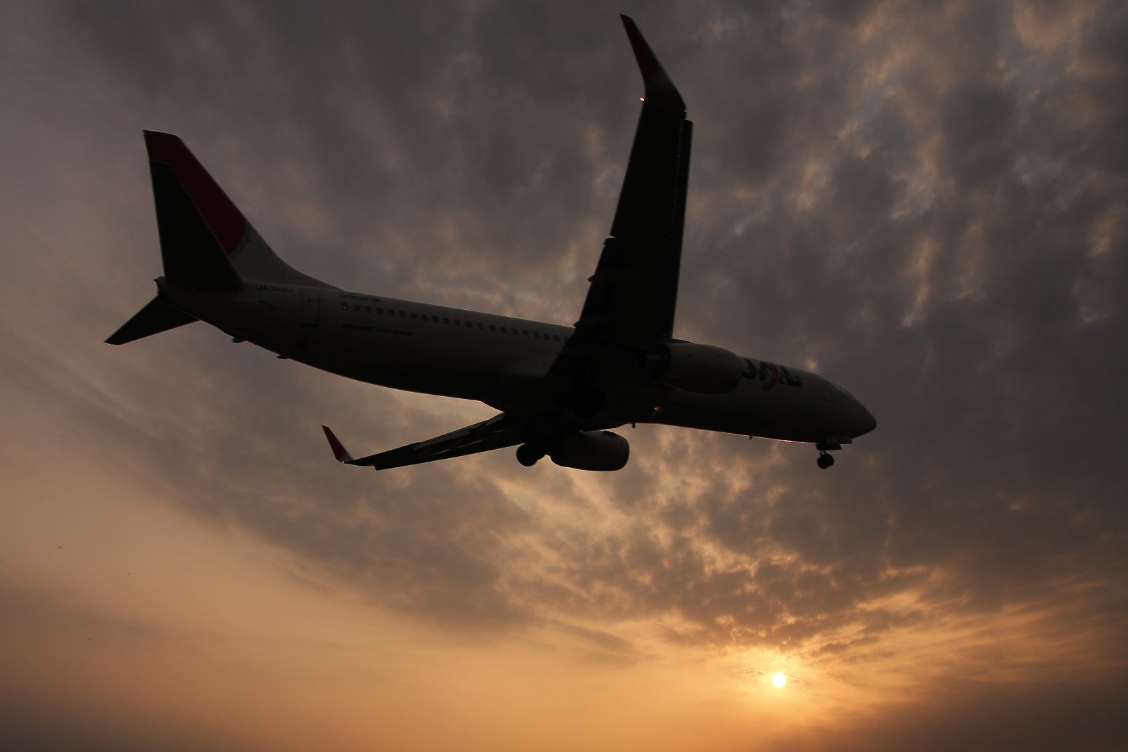 飛行機　夕焼け　（千里川）_a0003166_220713.jpg