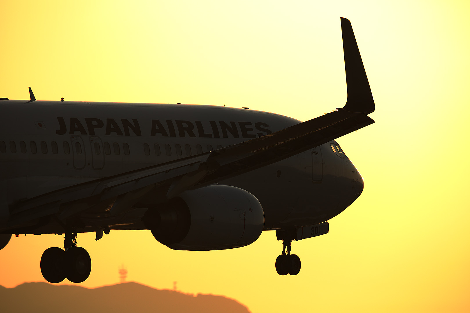 飛行機 夕焼け （伊丹空港　千里川 5/5）_a0003166_2210165.jpg