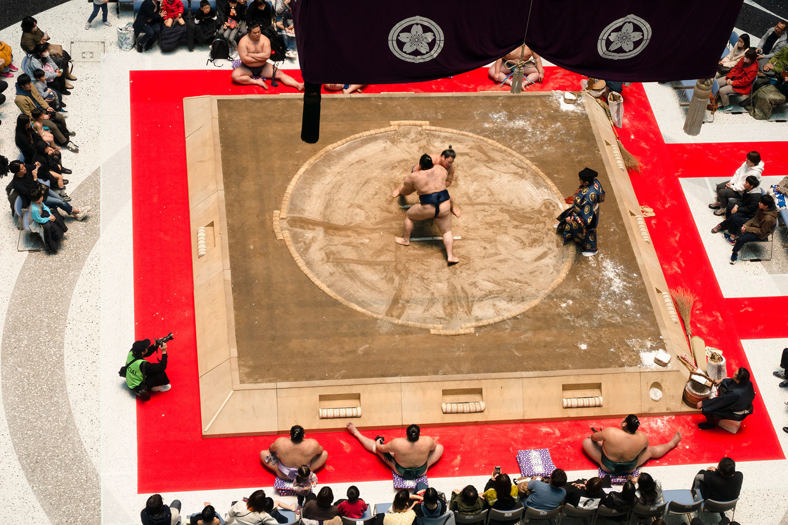上から見た相撲（春がキタ！うめきた場所 in グランフロント大阪 2024）_a0003166_22111843.jpg