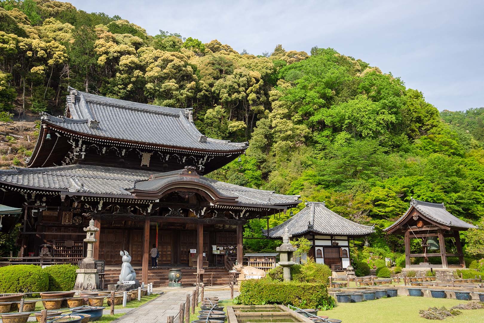 三室戸寺_a0003166_22114093.jpg