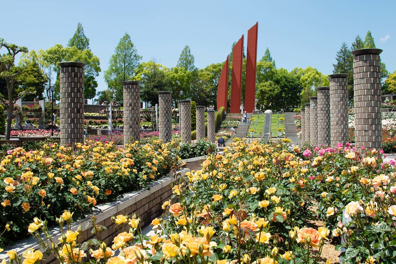 荒牧バラ公園　その１_a0003166_22134235.jpg