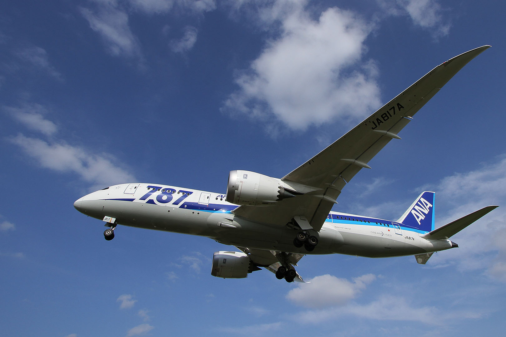 Ｂ７８７ （伊丹空港　千里川)_a0003166_2213731.jpg