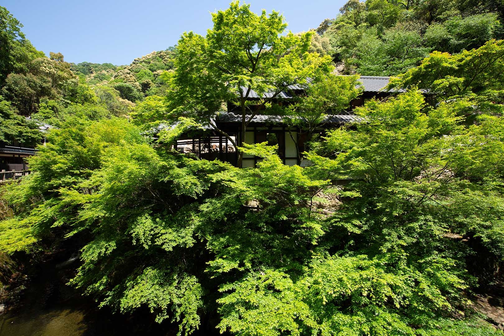 箕面_a0003166_22154226.jpg